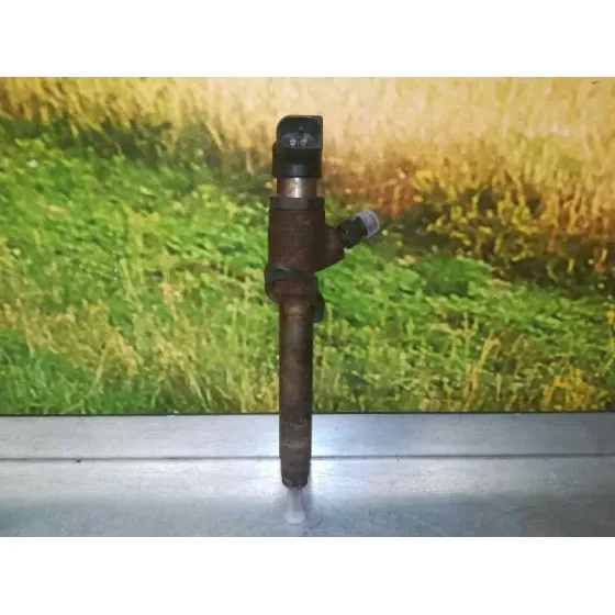 Inyector para Citroën C6