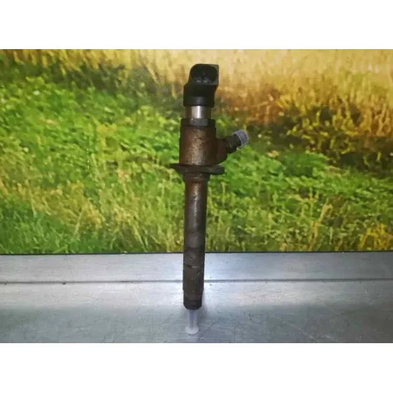 Inyector para Citroën C6