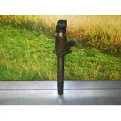 Inyector para Citroën C6