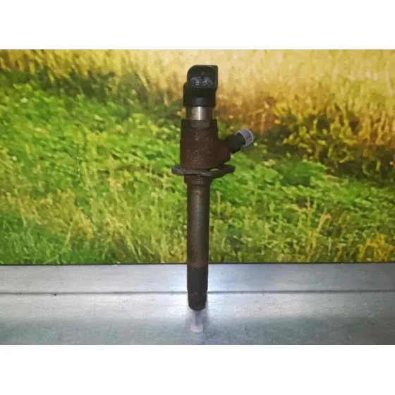 Inyector para Citroën C6