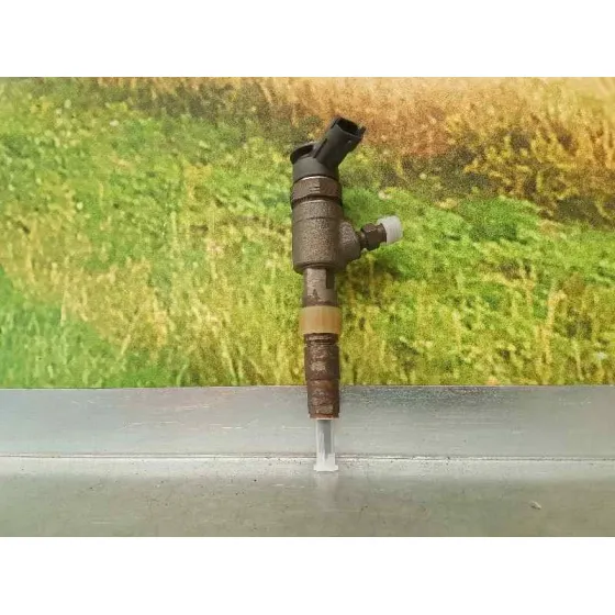 Inyector para Citroën C3