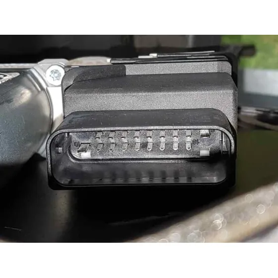 Elevalunas Trasero Derecho para Seat Leon (1P1)