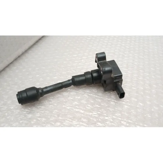 Bobina Encendido para Ford Ecosport