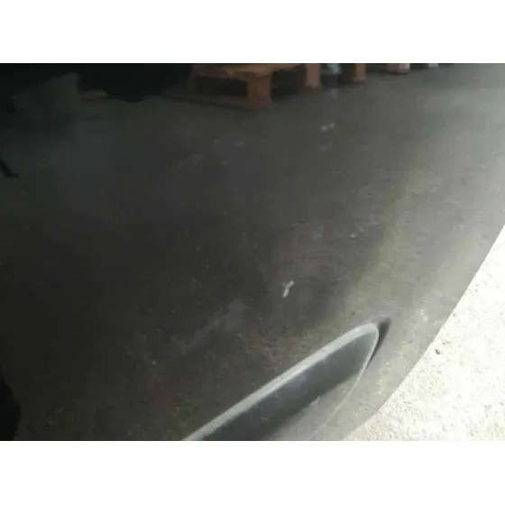 Puerta Delantera Derecha para Kia Carnival