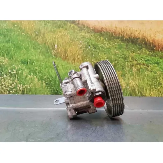 Bomba Direccion para Citroën Jumper Grossraumkasten