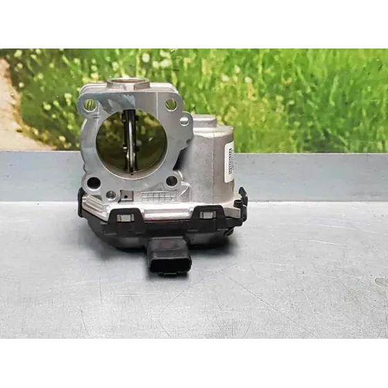 Caja Mariposa para Citroën Berlingo Cuadro
