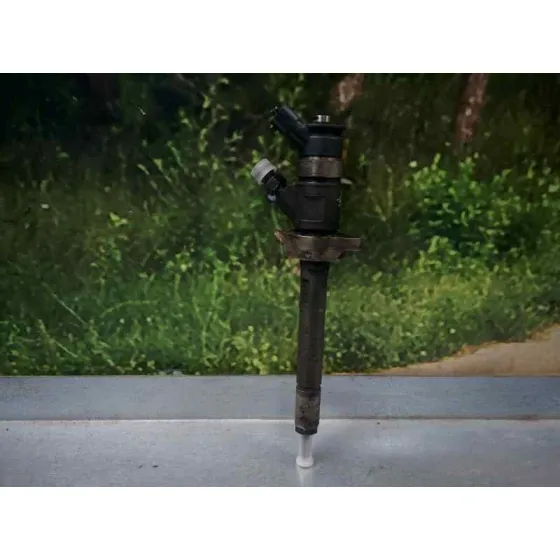 Inyector para Citroën C4 Picasso