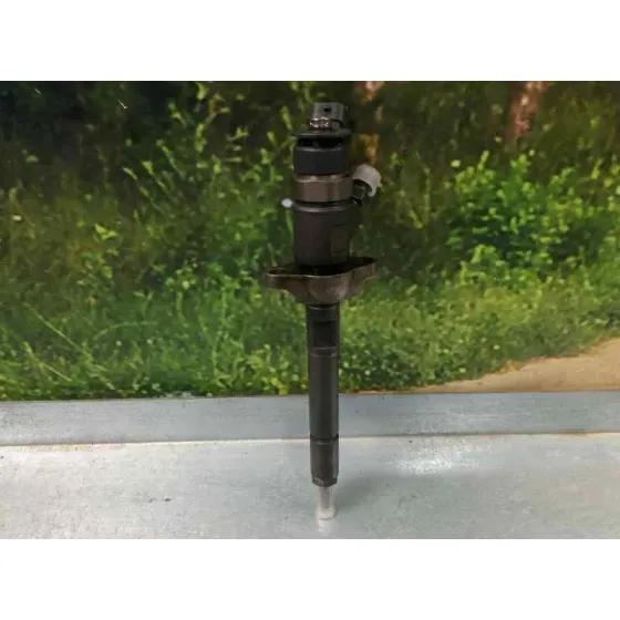 Inyector para Citroën C4 Picasso
