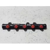 Rampa Inyectora para Citroën C4 Picasso
