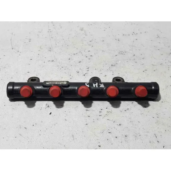 Rampa Inyectora para Citroën C4 Picasso