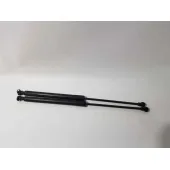 Amortiguadores Maletero / Porton para Citroën C3