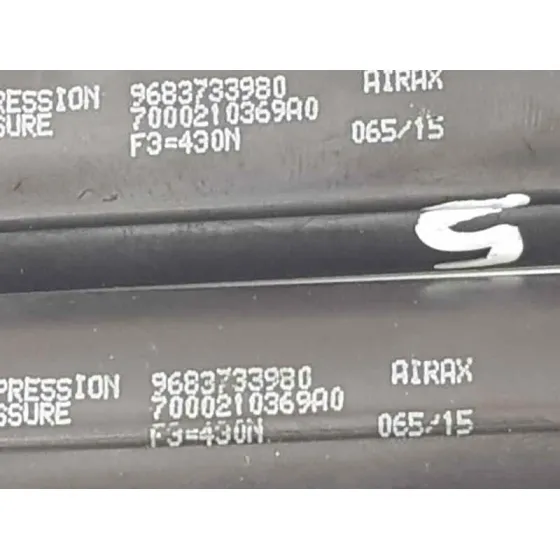 Amortiguadores Maletero / Porton para Citroën C3