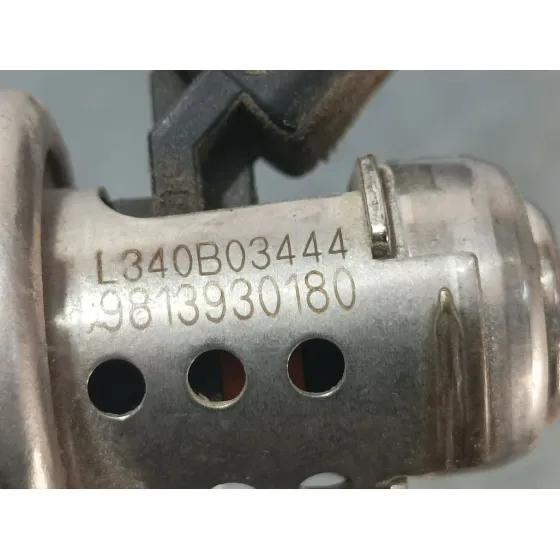 Inyector Adblue para Citroën C3