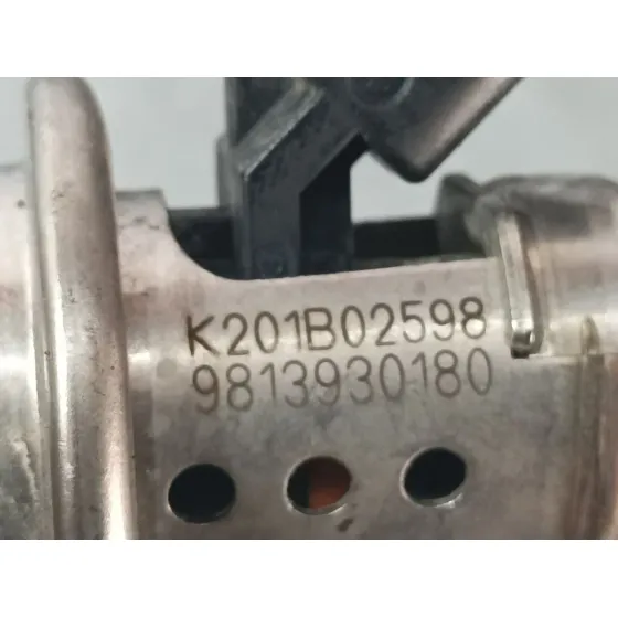 Inyector Adblue para Citroën C3