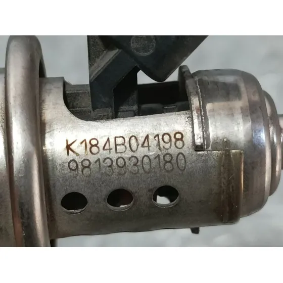 Inyector Adblue para Citroën C3