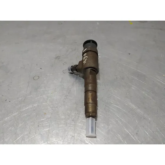 Inyector para Citroën C3