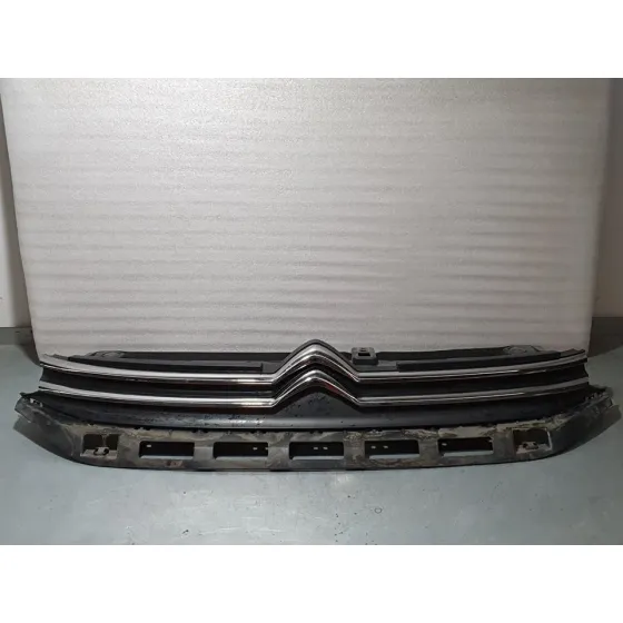 Rejilla Delantera para Citroën C3