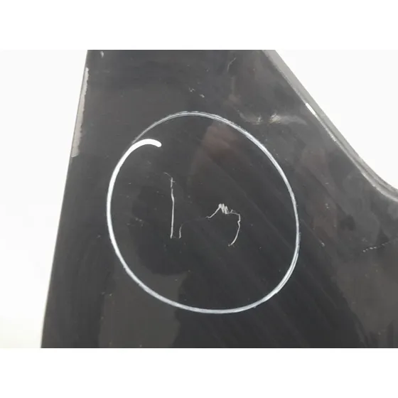 Aleta Delantera Izquierda para Bmw X4 (F26)