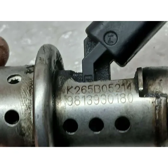 Inyector Adblue para Citroën Berlingo