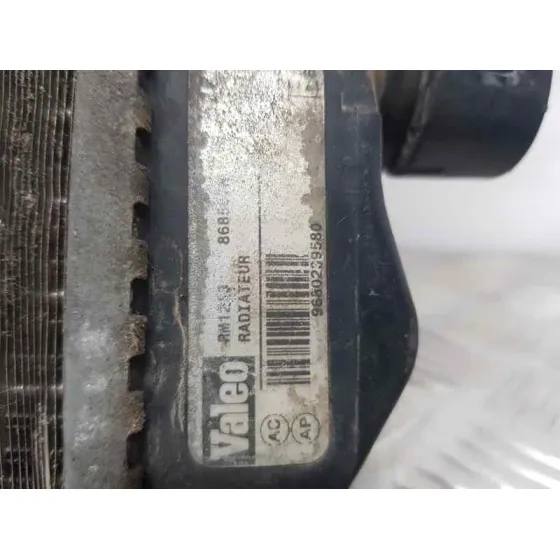 Radiador Agua para Citroën C2