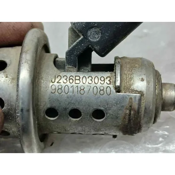 Inyector Adblue para Citroën Jumpy Furgon