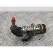 Inyector Adblue para Citroën Berlingo Furgon