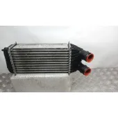 Intercooler para Citroën C3 Ii (Sc_)