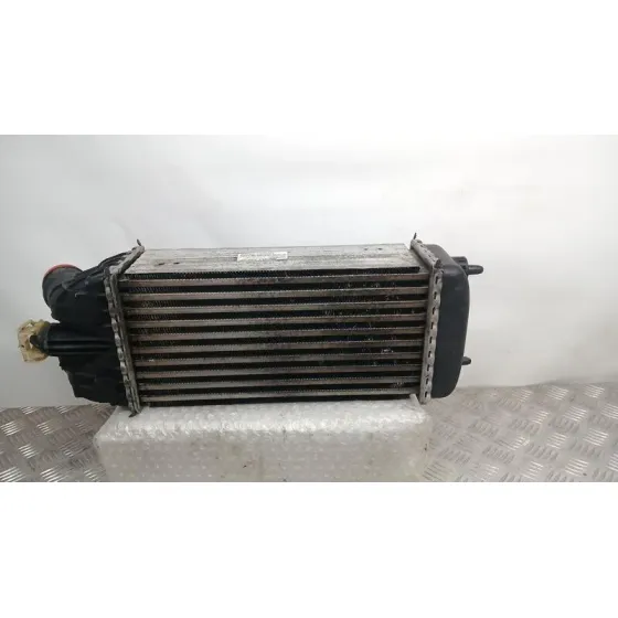 Intercooler para Citroën C3 Ii (Sc_)