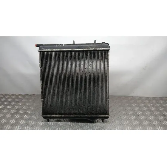 Radiador Agua para Citroën C3 Iii (Sx)
