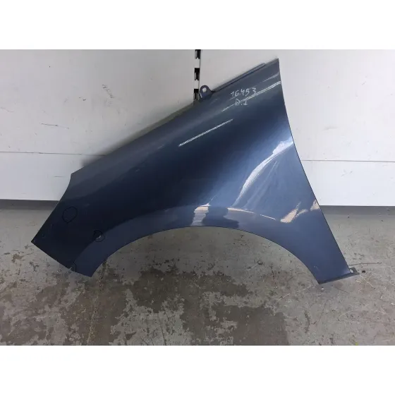 Aleta Delantera Izquierda para Ford Fiesta Vii (Hj, Hf)