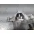 Motor Arranque para Citroën C5 I (Dc_)