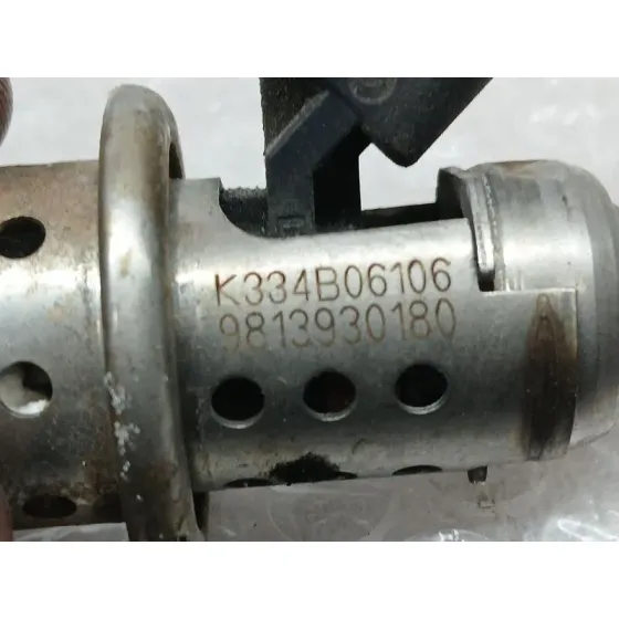 Inyector Adblue para Citroën Berlingo Furgoneta/Monovolumen (K9)