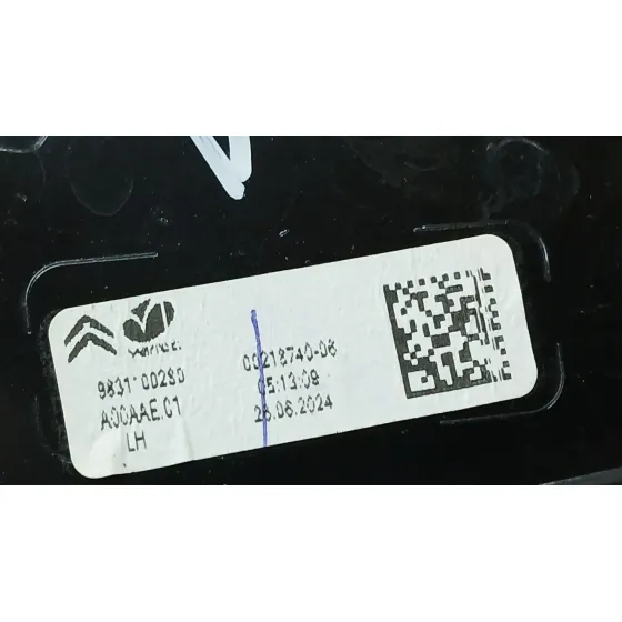 Piloto Trasero Izquierdo Interior para Citroën C4 Iii (Ba_, Bb_, Bc_)