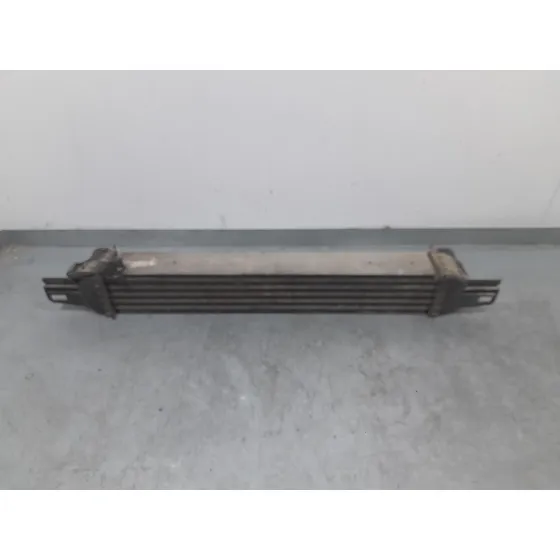 Intercooler para Citroën Nemo Monospace