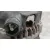 Alternador para Peugeot 2008 Ii (Ud_, Us_, Uy_, Uj_, Ur_, Uc_)