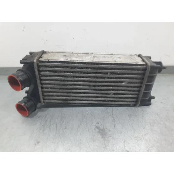 Intercooler para Peugeot 308 I (4A_, 4C_)