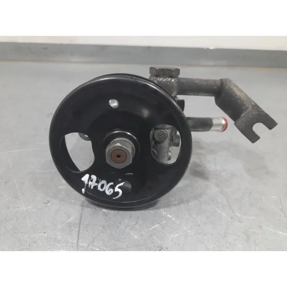 Bomba Direccion para Nissan Nt400 Cabstar (F24M)