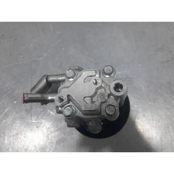 Bomba Direccion para Nissan Nt400 Cabstar (F24M)