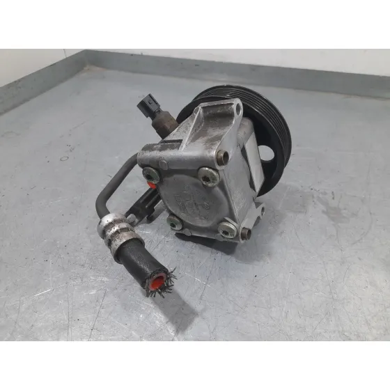Bomba Direccion para Ford C-Max (Dm2)