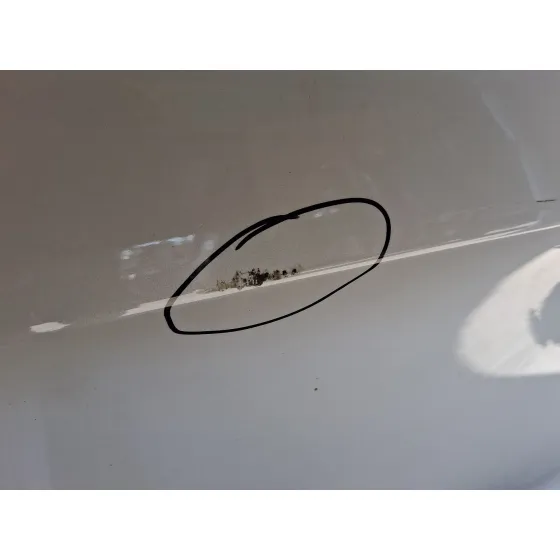 Puerta Delantera Derecha para Citroën Ds5