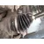 Transmision Delantera Derecha para Citroën C5 Aircross (Ac_, Aj_, Ar_, A4_)