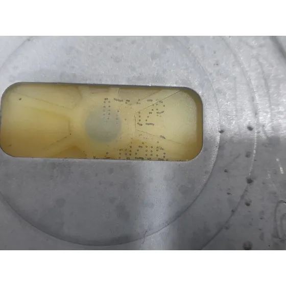 Elevalunas Delantero Derecho para Renault Kangoo / Grand Kangoo Ii (Kw0/1_)