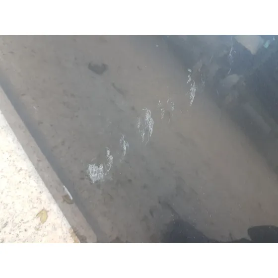 Puerta Trasera Izquierda para Honda Insight (Ze_)