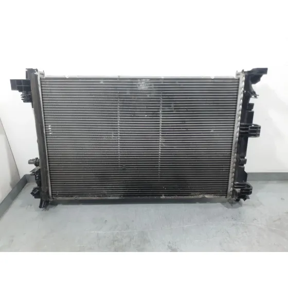 Radiador Agua para Fiat 500E (332_)