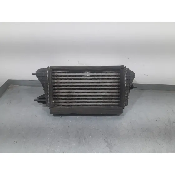 Intercooler para Suzuki Swift V (Az)