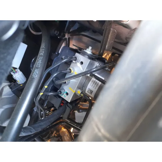 Abs para Mg Mg 3 (5Fp)