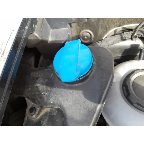 Deposito Limpia para Audi Q3 Sportback (F3N)