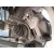 Mangueta Delantera Izquierda para Audi Q3 Sportback (F3N)