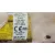 Airbag Cortina Delantero Izquierdo para Land Rover Range Rover Evoque (L551)
