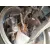 Mangueta Delantera Derecha para Land Rover Range Rover Evoque (L551)